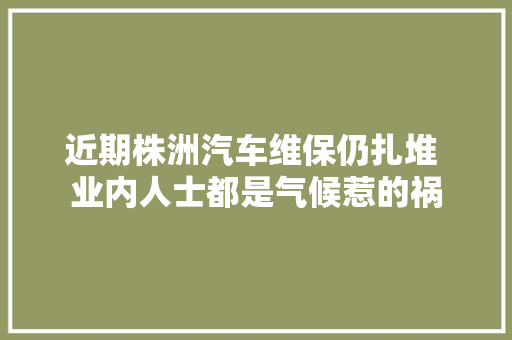 近期株洲汽车维保仍扎堆 业内人士都是气候惹的祸