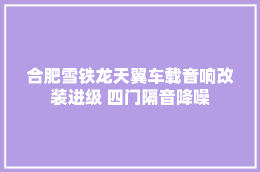 合肥雪铁龙天翼车载音响改装进级 四门隔音降噪