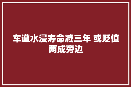 车遭水浸寿命减三年 或贬值两成旁边