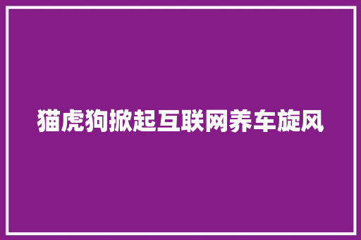 猫虎狗掀起互联网养车旋风