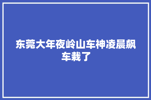 东莞大年夜岭山车神凌晨飙车栽了