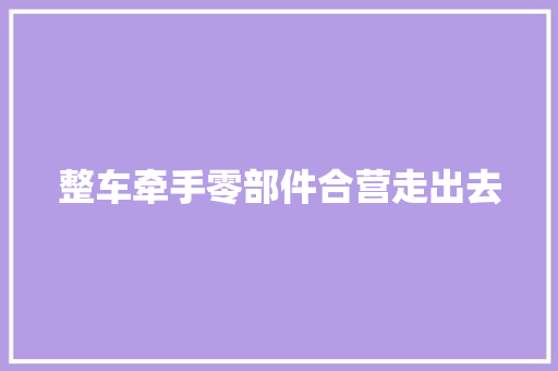 整车牵手零部件合营走出去
