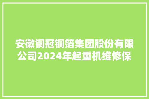 安徽铜冠铜箔集团股份有限公司2024年起重机维修保养项目二次招标