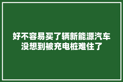 好不容易买了辆新能源汽车没想到被充电桩难住了