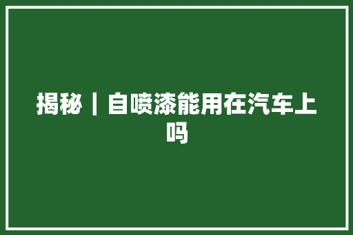 揭秘｜自喷漆能用在汽车上吗
