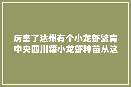 厉害了达州有个小龙虾繁育中央四川籍小龙虾种苗从这出身