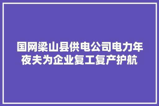 国网梁山县供电公司电力年夜夫为企业复工复产护航