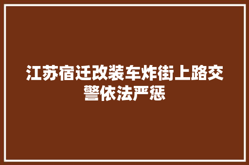 江苏宿迁改装车炸街上路交警依法严惩