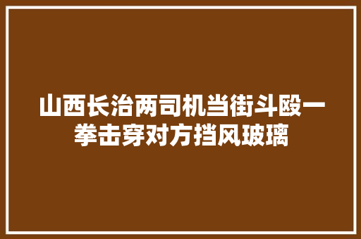 山西长治两司机当街斗殴一拳击穿对方挡风玻璃