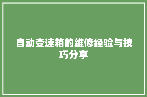 自动变速箱的维修经验与技巧分享