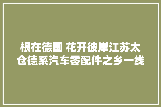 根在德国 花开彼岸江苏太仓德系汽车零配件之乡一线不雅观察