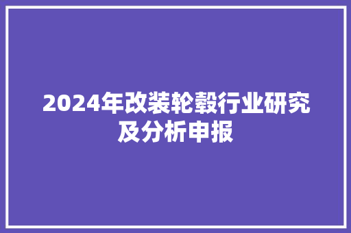 2024年改装轮毂行业研究及分析申报