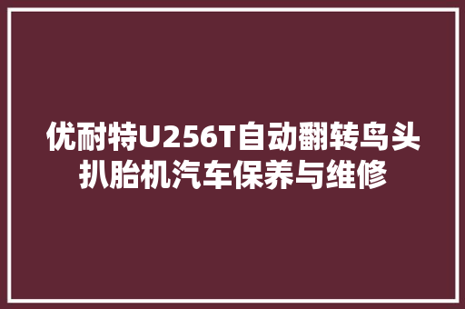 优耐特U256T自动翻转鸟头扒胎机汽车保养与维修