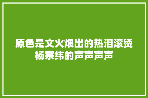 原色是文火煨出的热泪滚烫杨宗纬的声声声声 休闲娱乐