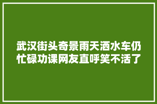 武汉街头奇景雨天洒水车仍忙碌功课网友直呼笑不活了