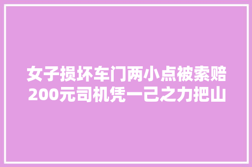 女子损坏车门两小点被索赔200元司机凭一己之力把山东送上热搜