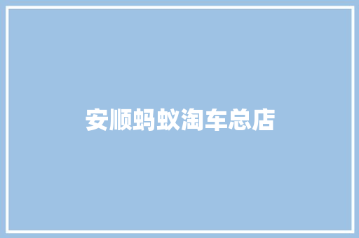 安顺蚂蚁淘车总店