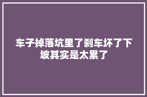 车子掉落坑里了刹车坏了下坡其实是太累了