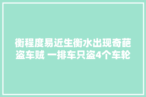 衡程度易近生衡水出现奇葩盗车贼 一排车只盗4个车轮