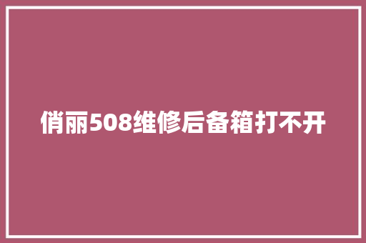 俏丽508维修后备箱打不开