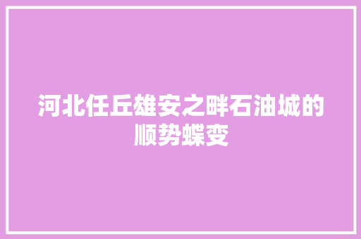 河北任丘雄安之畔石油城的顺势蝶变