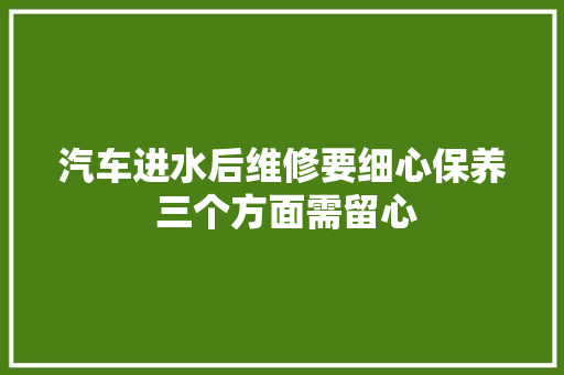 汽车进水后维修要细心保养 三个方面需留心