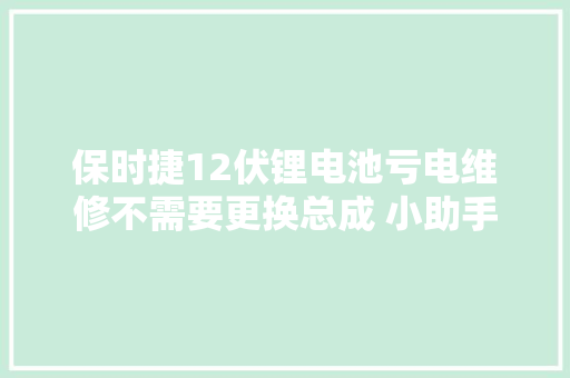 保时捷12伏锂电池亏电维修不需要更换总成 小助手
