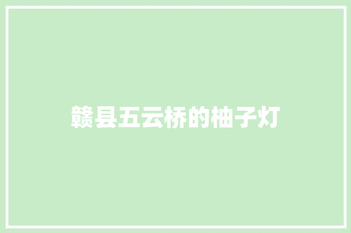 赣县五云桥的柚子灯  第1张