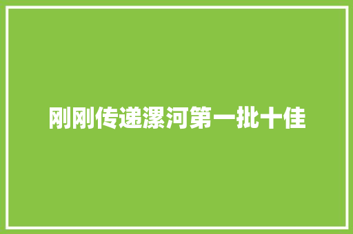 刚刚传递漯河第一批十佳