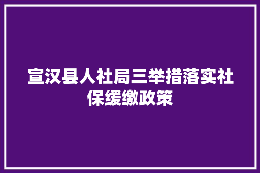 宣汉县人社局三举措落实社保缓缴政策