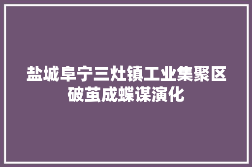 盐城阜宁三灶镇工业集聚区破茧成蝶谋演化