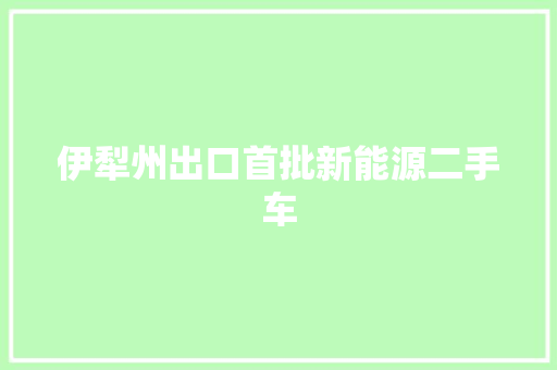 伊犁州出口首批新能源二手车