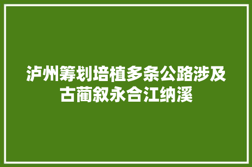 泸州筹划培植多条公路涉及古蔺叙永合江纳溪