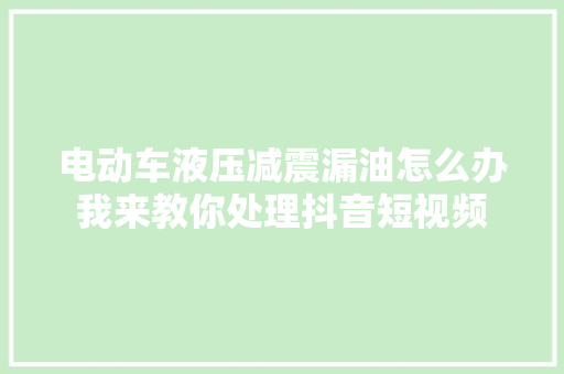 电动车液压减震漏油怎么办我来教你处理抖音短视频