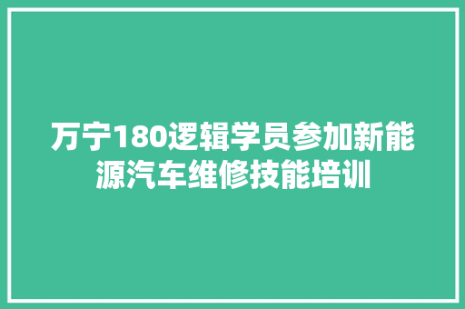 万宁180逻辑学员参加新能源汽车维修技能培训
