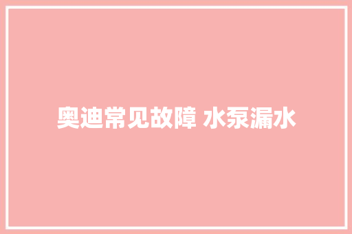 奥迪常见故障 水泵漏水