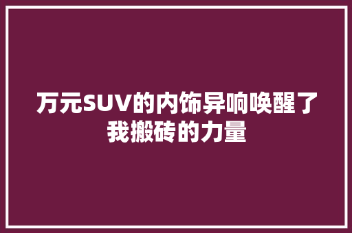 万元SUV的内饰异响唤醒了我搬砖的力量