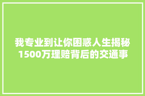 我专业到让你困惑人生揭秘1500万理赔背后的交通事件骗局
