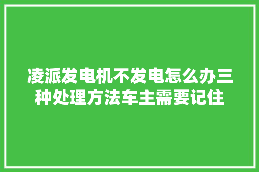 凌派发电机不发电怎么办三种处理方法车主需要记住