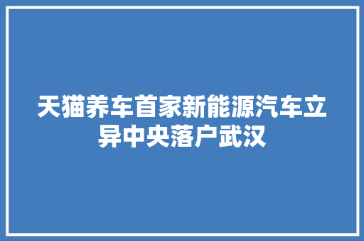 天猫养车首家新能源汽车立异中央落户武汉