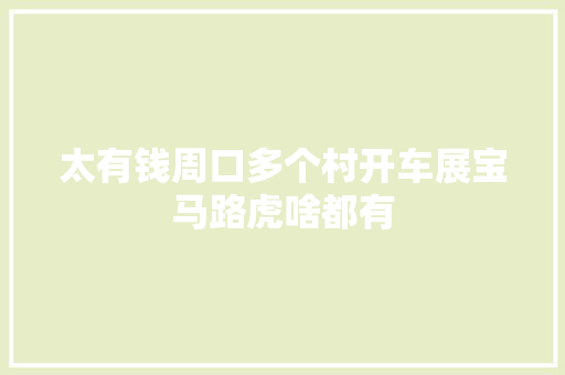 太有钱周口多个村开车展宝马路虎啥都有