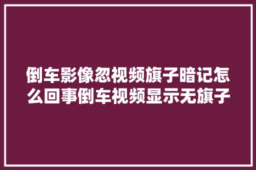倒车影像忽视频旗子暗记怎么回事倒车视频显示无旗子暗记要怎么弄