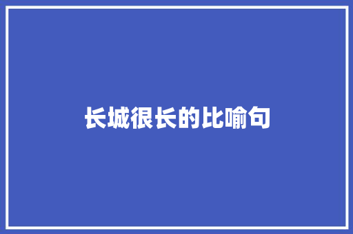 长城很长的比喻句
