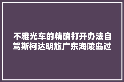 不雅光车的精确打开办法自驾斯柯达明旅广东海陵岛过大年夜年