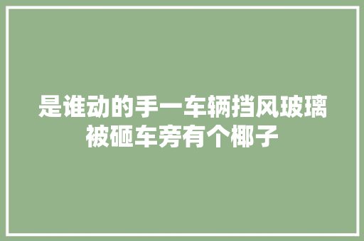 是谁动的手一车辆挡风玻璃被砸车旁有个椰子