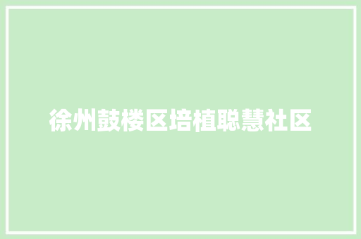 徐州鼓楼区培植聪慧社区