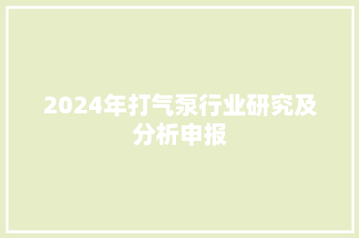 2024年打气泵行业研究及分析申报