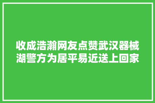 收成浩瀚网友点赞武汉器械湖警方为居平易近送上回家的钥匙