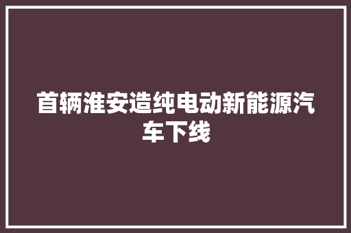 首辆淮安造纯电动新能源汽车下线