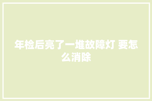 年检后亮了一堆故障灯 要怎么消除  第1张